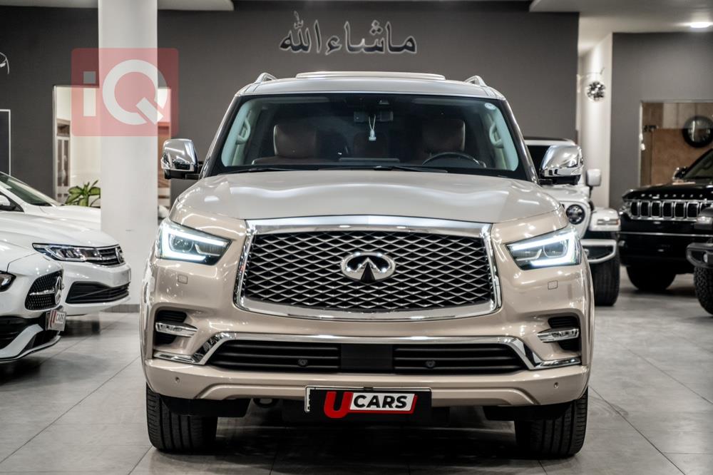 ئينفنتي QX80